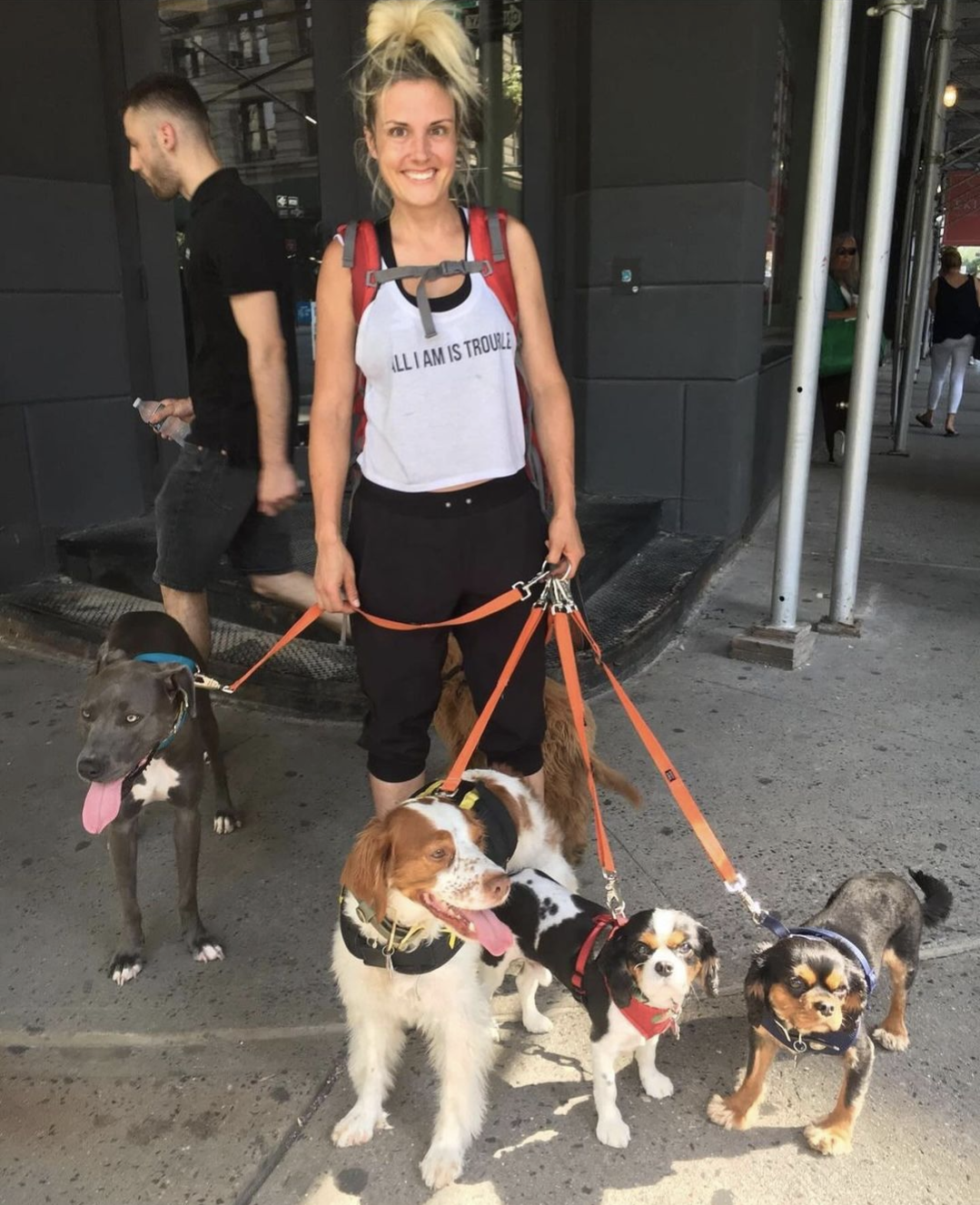 Photo of Lark with four leashed dogs